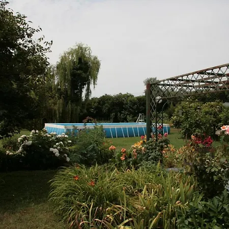 Pietrasanta - Versilia - Arzilla Garden Con Piscina Bed and breakfast Tonfano