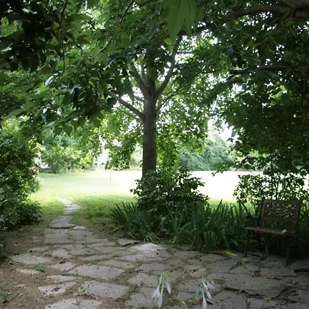 Bed and breakfast Pietrasanta - Versilia - Arzilla Garden Con Piscina Tonfano