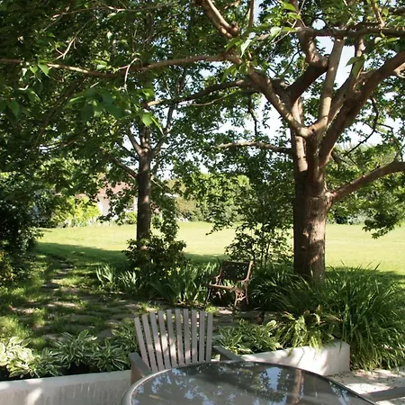 Pietrasanta - Versilia - Arzilla Garden Con Piscina * Tonfano