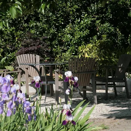 Pietrasanta - Versilia - Arzilla Garden Con Piscina