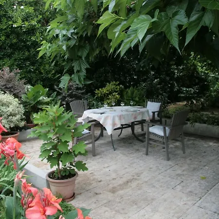 Pietrasanta - Versilia - Arzilla Garden Con Piscina Tonfano