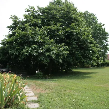 Pietrasanta - Versilia - Arzilla Garden Con Piscina *